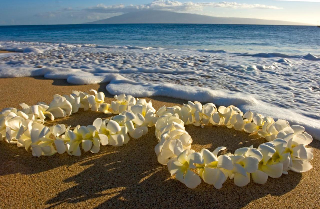 ホノルルCozy & Diamond Head View At Waikiki With Parkingアパートメント エクステリア 写真